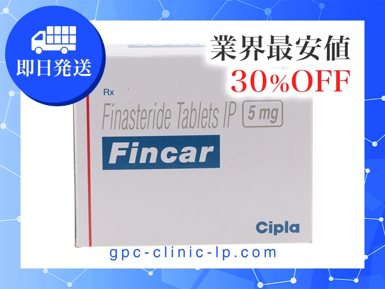fincar-1.webp